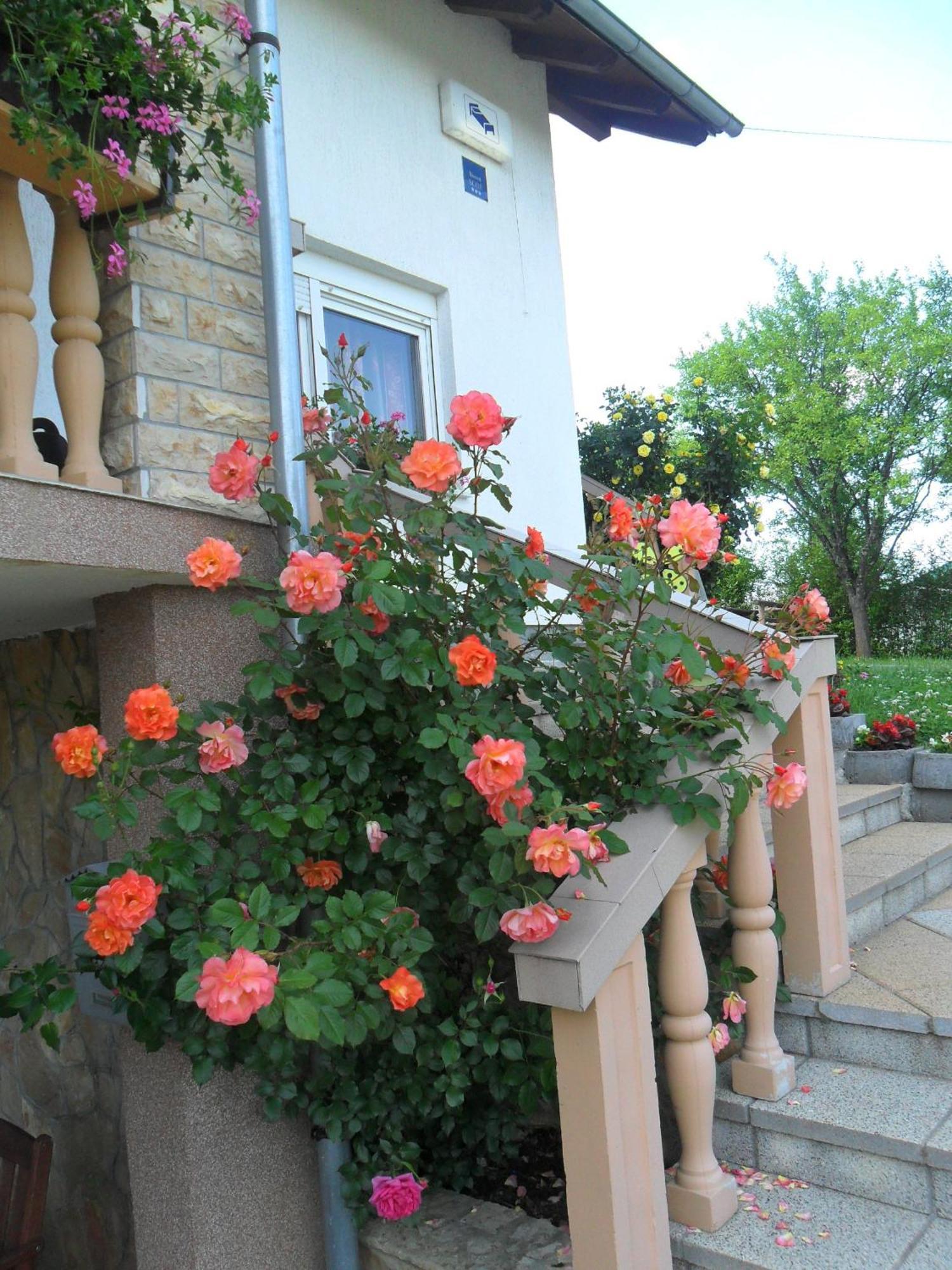 Guesthouse Sara Grabovac  Bagian luar foto