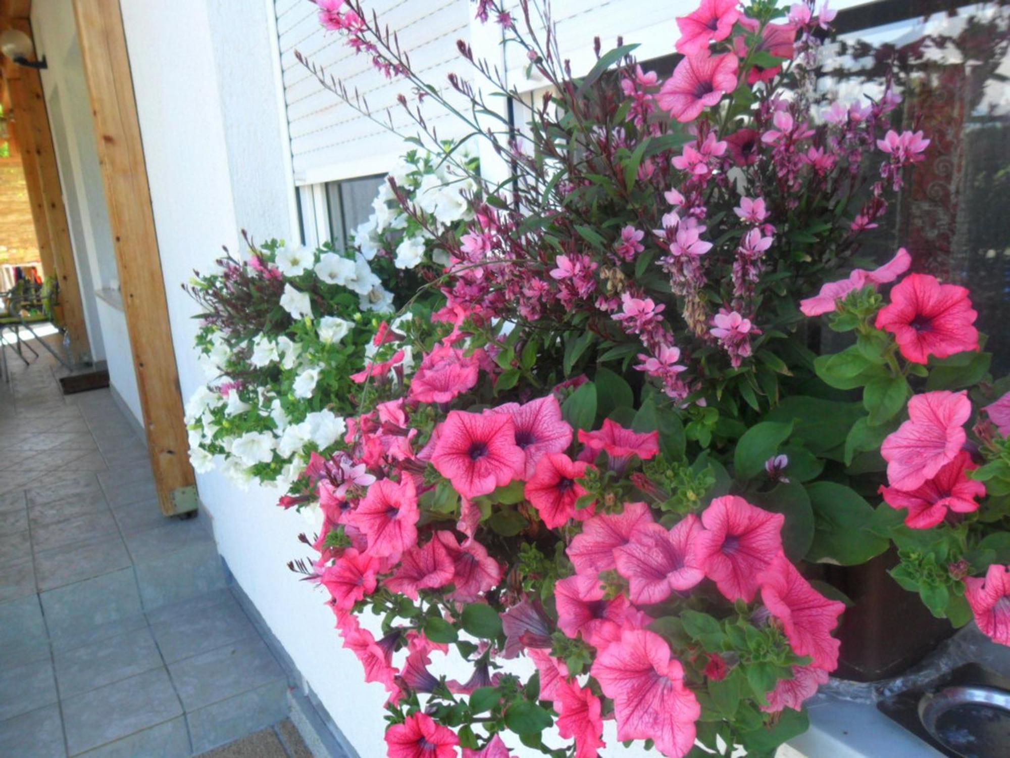 Guesthouse Sara Grabovac  Bagian luar foto