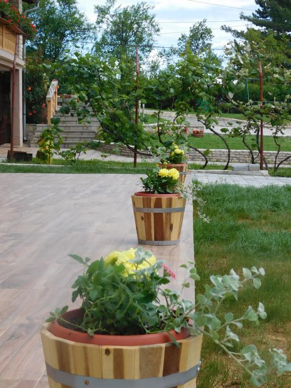Guesthouse Sara Grabovac  Bagian luar foto